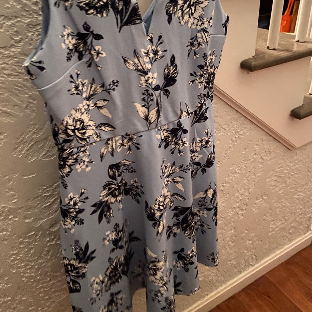 Francesca’s Dress